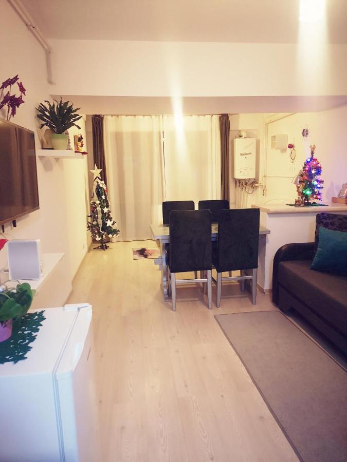 Studio Adela Poiana Brasov Buitenkant foto
